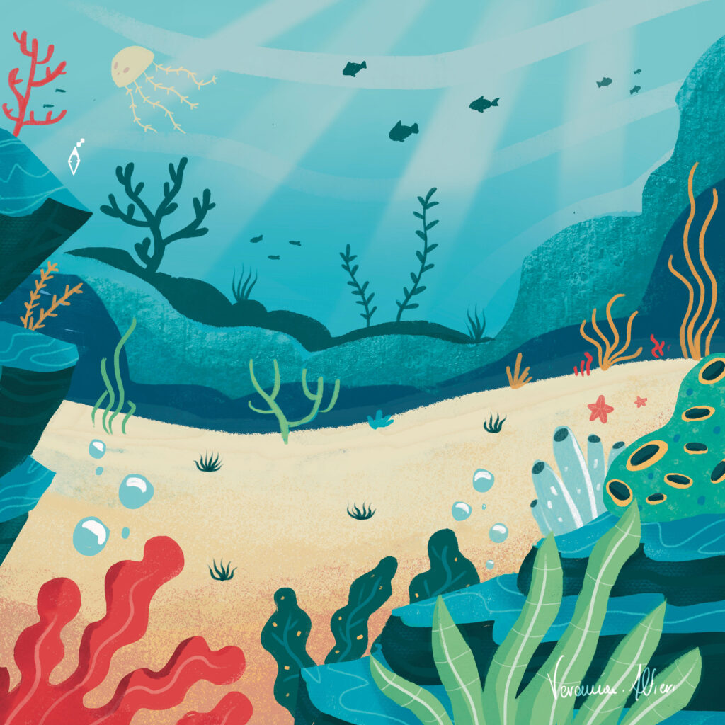 under the sea illustration